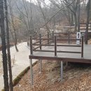 영인산자연휴양림 숲속야영장 티스토리
