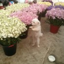 으뜸농장 이미지