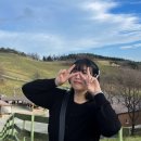 현승목장 이미지