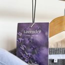 체리의향기 이미지