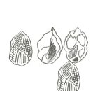 돈과 금융의 원리 알아차리기 | [정보|지식|사회학] 사회학 용어 정리 (1부)