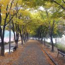 공지천 주차장 이미지