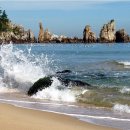 동해바다 이미지