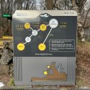 제주끄라비펜션 | 2025년 마지막 날 한라산 백록담 등반 후기 | 성판악 코스 주차 시간 제한 총정리