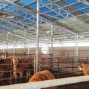 일광 태양광발전소 이미지