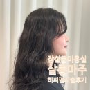 시리살롱 | 히피펌 맛집 석촌호수뷰 롯데월드 송파미용실 살롱마주 잠실동미용실 헤어샵 히피펌 시술 과정 시간