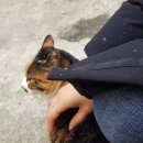 오봉카공업사