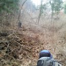 상궁농장 이미지