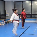 강호태권도장 이미지