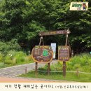 초막골 생태공원 이미지