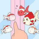 힐링아쿠아 - 부천시 소사구 경인로 543-1 | 세종 보타닉아쿠아카페 물멍 힐링가득한 카페 내돈내산 솔직후기