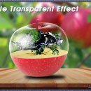 Apple Transparent Effect 이미지