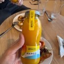 윈도우라운지 | 허니문 Vol 4. 방콕에서 몰디브로 이동 :: 수상비행기 라운지, 수상비행기 후기