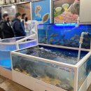 회광어9900 이미지