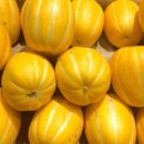 경북농장 이미지