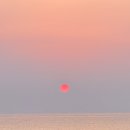 연곡해변 솔향기캠핑장 | 강릉 연곡해변솔향기캠핑장 드디어 가봄 A130 사이트