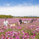 낙동강체육공원 야구장화장실 이미지