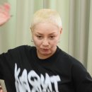 홍진희