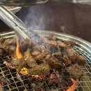 정우농원 | 파주 등갈비 장작구이 무고레 파주 애견동반식당 방문기
