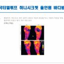 엘뤼프 이미지