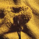 (주)푸드업 이미지