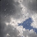 웰컴레인 이미지