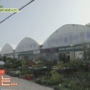 강화꽃직매장