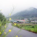 청송해변집