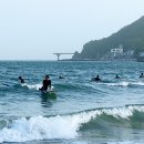 파동자연횟집