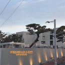 천성대항길 이미지