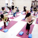 메디칼요가 네이버블로그