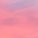 비체팰리스휴양콘도미니엄 이미지