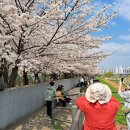 관악-현장-관악-00-01 이미지