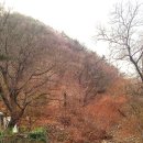 소백산깊은산속옹달샘펜션