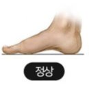 그레이스바디