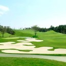 더 골프존 이미지