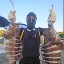 말봉바다낚시터 이미지