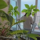 달맞이길 221 이미지