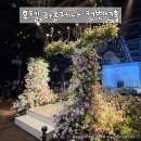 호텔라온제나 | 대구 웨딩홀 호텔 라온제나 컨벤션홀 하객 후기｜뷔페, 주차, AMT, 부케순이