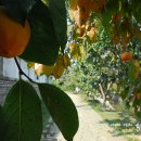 민속여관 이미지