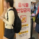 강남동로 100번길1 | 의정부 아일랜드캐슬 워터파크 • 극성수기 방문 후기 (유수풀 100번 타주라 제발~ 🌊🩵🎐)