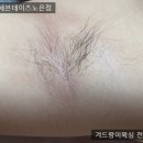 세븐노은 이미지