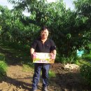 고골농장 이미지