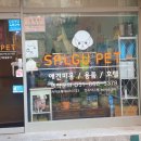 살구펫 이미지