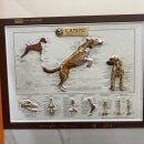 라이언펫 수원광교동물병원 이미지