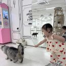 야옹이네 고양이카페 | 수원 고양이카페 추천! 5세·3세 아이와 다녀온 야옹이네고양이카페 수원본점 후기