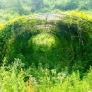 산바래기농장 이미지