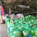 총각마트 이미지