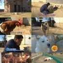 신영섭농장 이미지