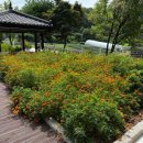 화성현대요양병원 이미지